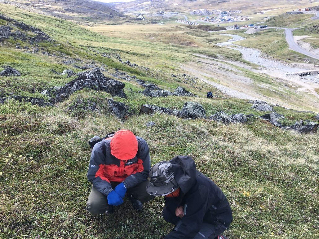 Soil bacteria diversity in the Arctic tundra linked to plant life discovery