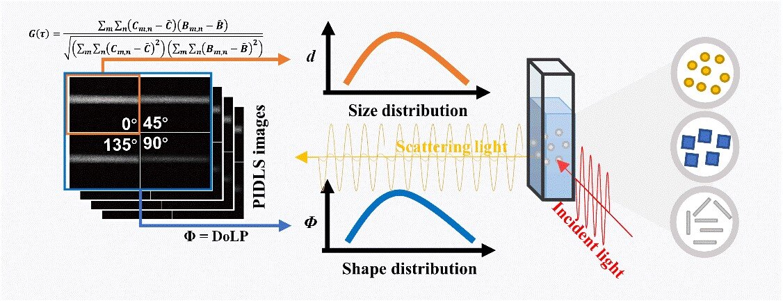 pille Express gullig Polarized imaging of dynamic light scattering to measure nanoparticle size,  morphology, and distributions