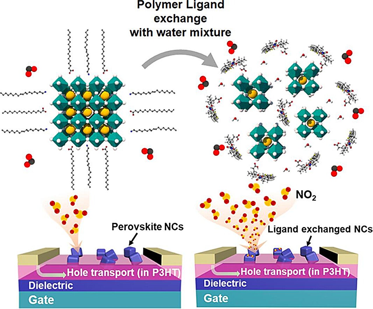 Pushing the limits of gas sensing technology