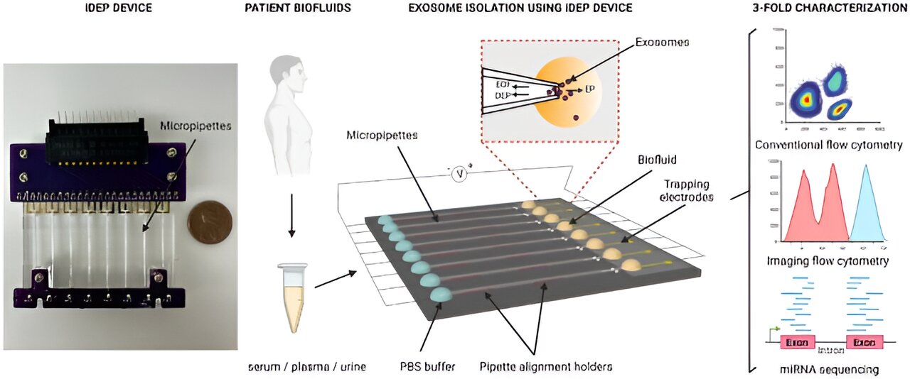 You are currently viewing Speedy purification and characterization of circulating small extracellular vesicles on a label-free lab-on-a-chip