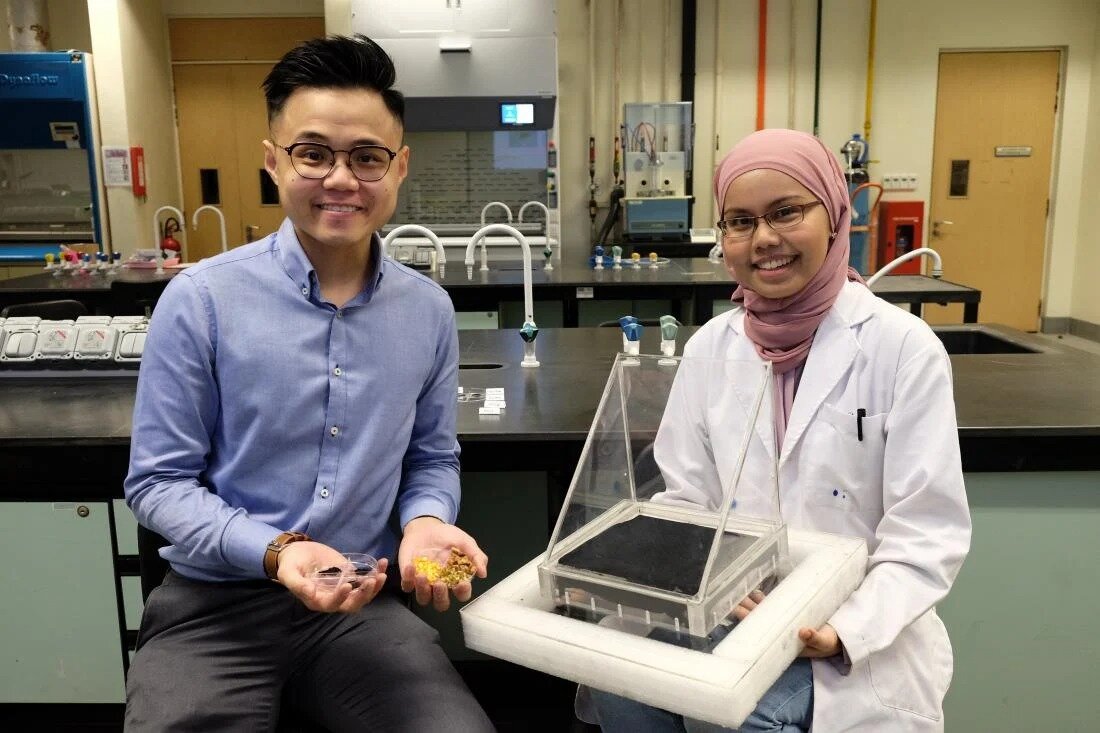 Recycling of fruit waste into a solar absorber for water desalination