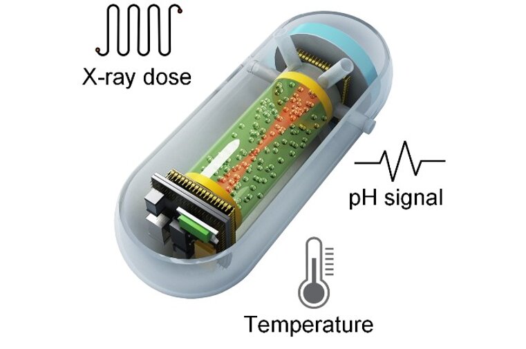 Researchers develop capsule X-ray dosimeter for real-time radiotherapy monitoring