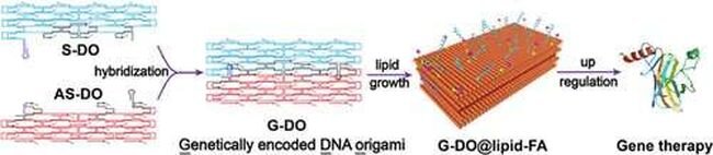 Using origami DNA to trap large viruses