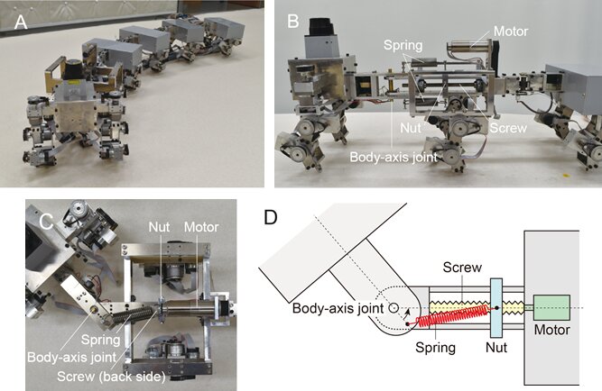 Team develops a centipede robot with variable body-axis flexibility