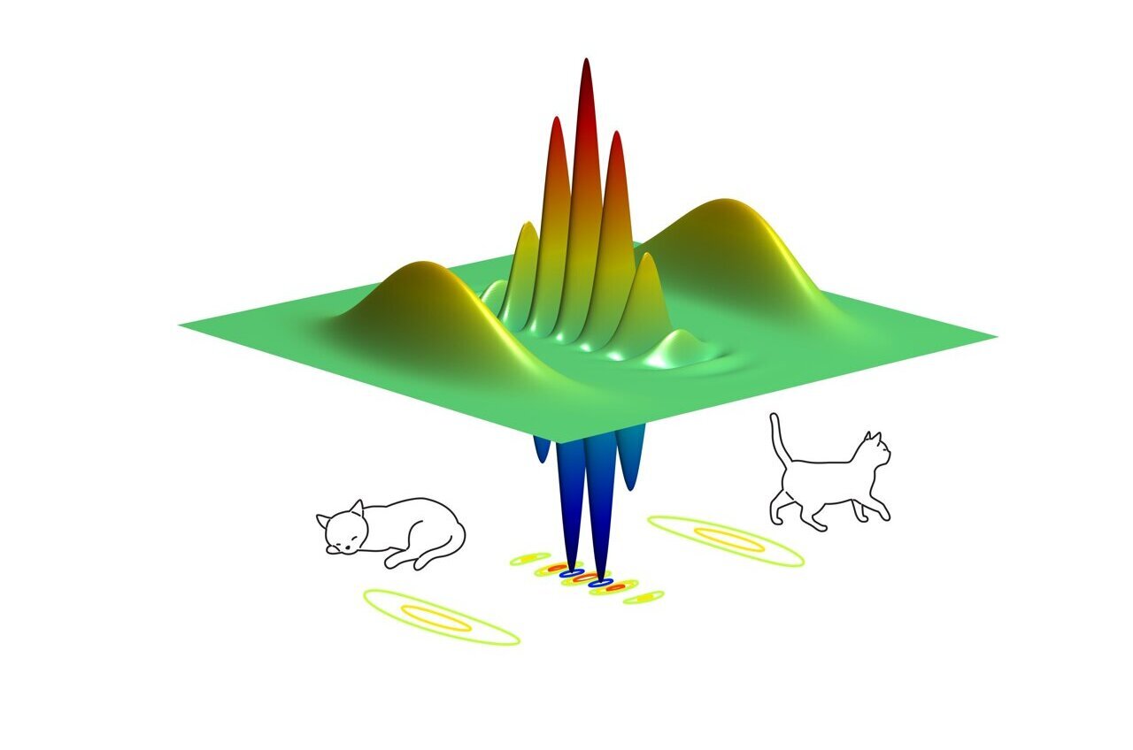 How Schrödinger's cat makes better qubits