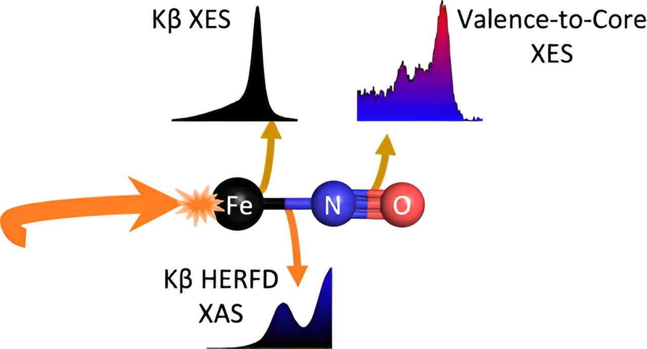 Scientists Shed Light On Potential Breakthrough Biomedical Molecule 5542