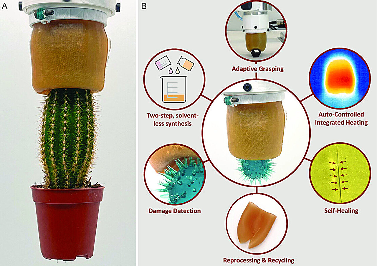 self-healing-robotic-gripper-could-be-the-future-of-sustainable-soft-robotics