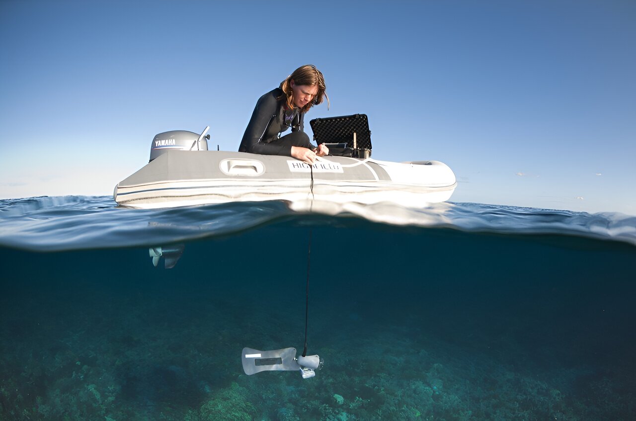 How coastal sciences are failing women in the field