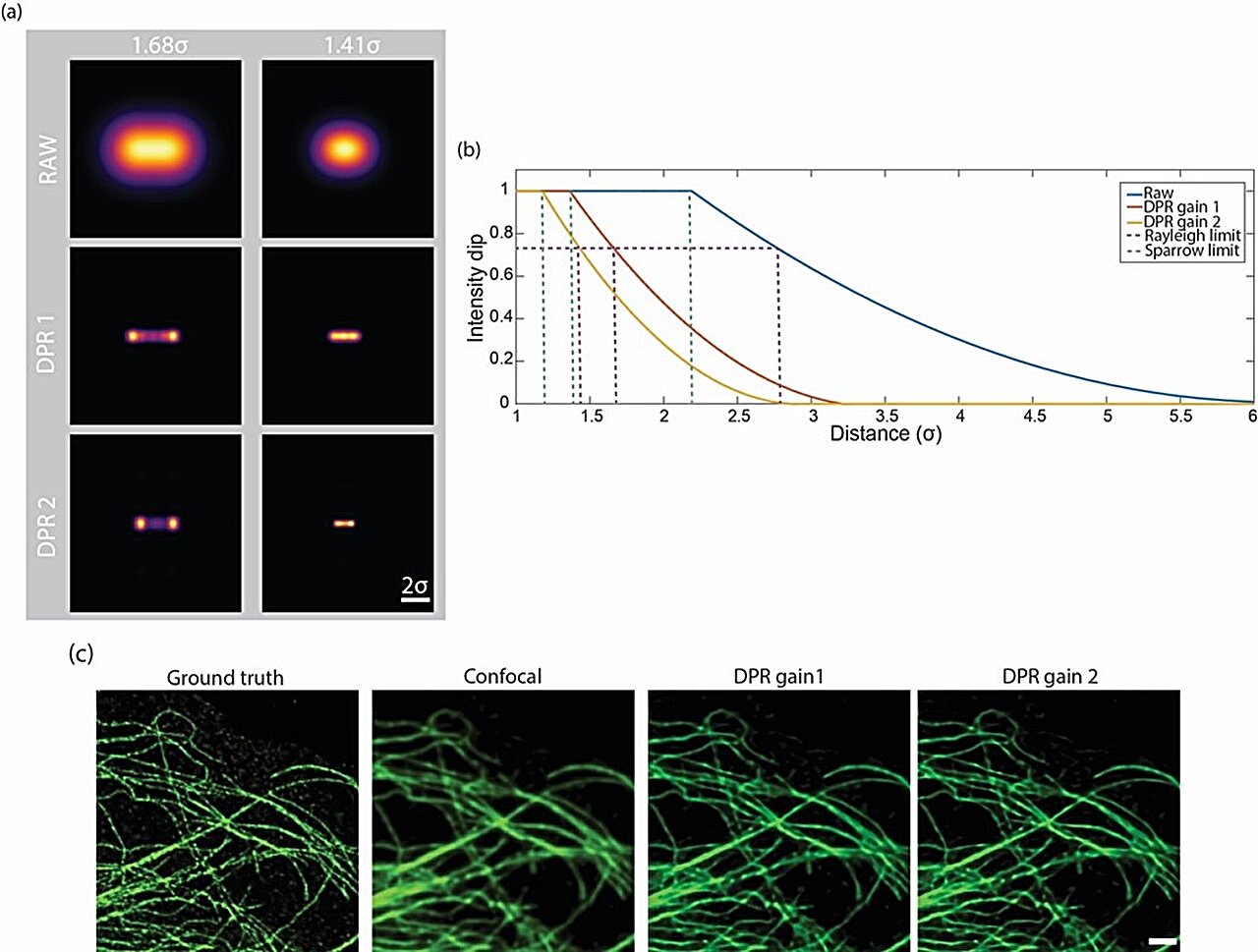 Novel algorithm successfully improves microscopy resolution through pixel reassignment