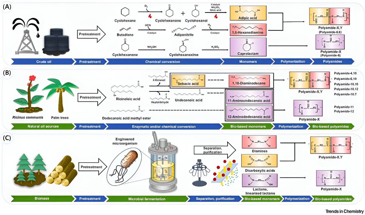 Strategies for environmentally friendly and sustainable polyamide production