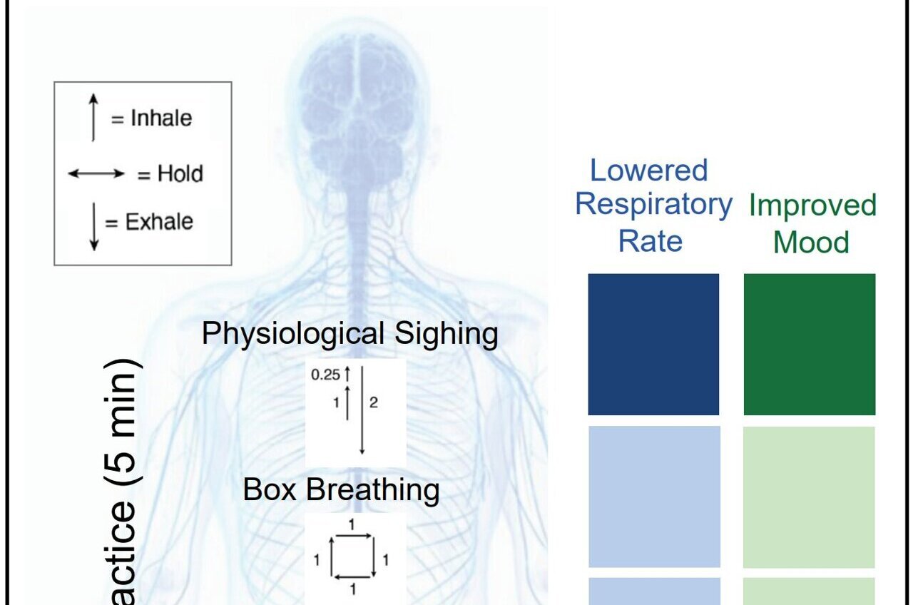 Box Breathing Meditation to Lower Anxiety [Mental Health and COVID] 