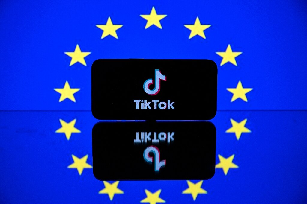 Meta, TikTok challenge incoming EU digital market law