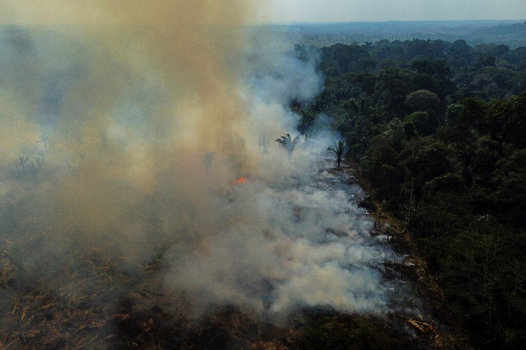 Desmatamento na Amazônia brasileira aumentou 150% no último mês de Bolsonaro