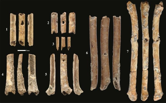 Los primeros instrumentos de viento prehistóricos fueron descubiertos en el Levante