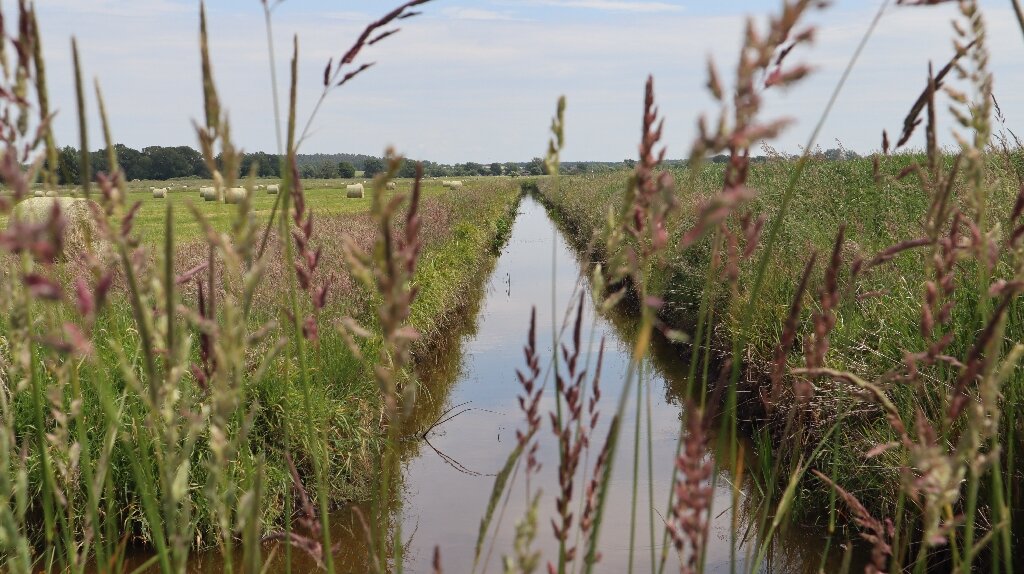 Mitigating the Impact of Climate Change by Restoring German Marshes