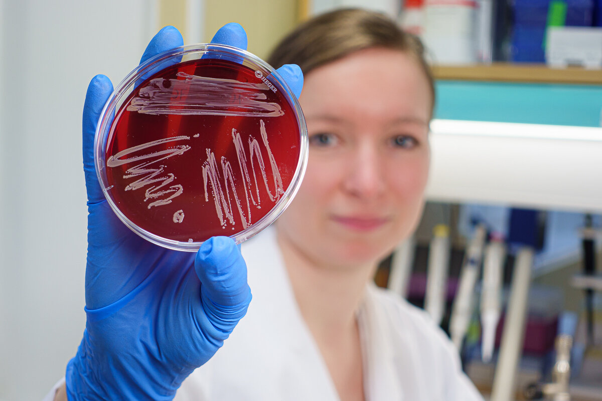 The perils of bacteria’s secret weapons