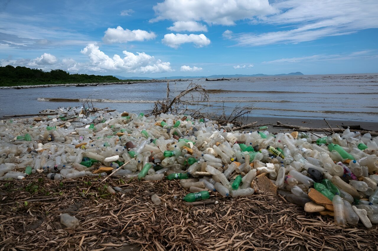 Plastic litter in oceans overestimated but could persist longer than expected, study suggests
