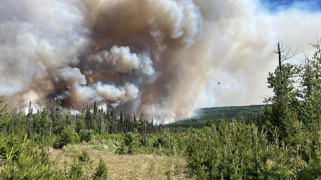 phys.org - Marion THIBAUT - Facing unprecedented fire season, Canada confronts logistical challenge