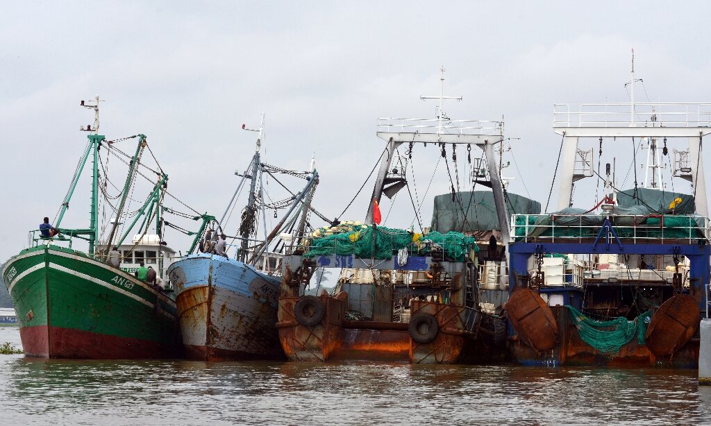 photo of Ivory Coast imposes fishing bans in bid to conserve stocks image
