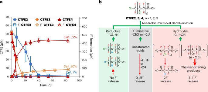 Toxic 'forever chemicals' accumulate above the water table