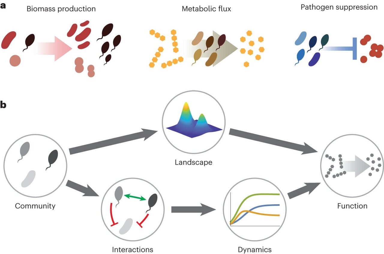 Harnessing the landscape of microbial culture media to predict new