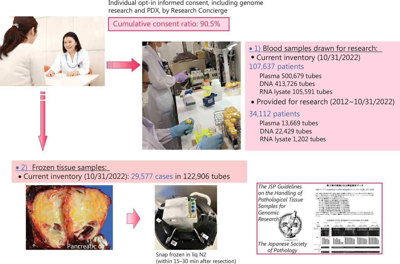#The evolution of personalized cancer treatment in Japan