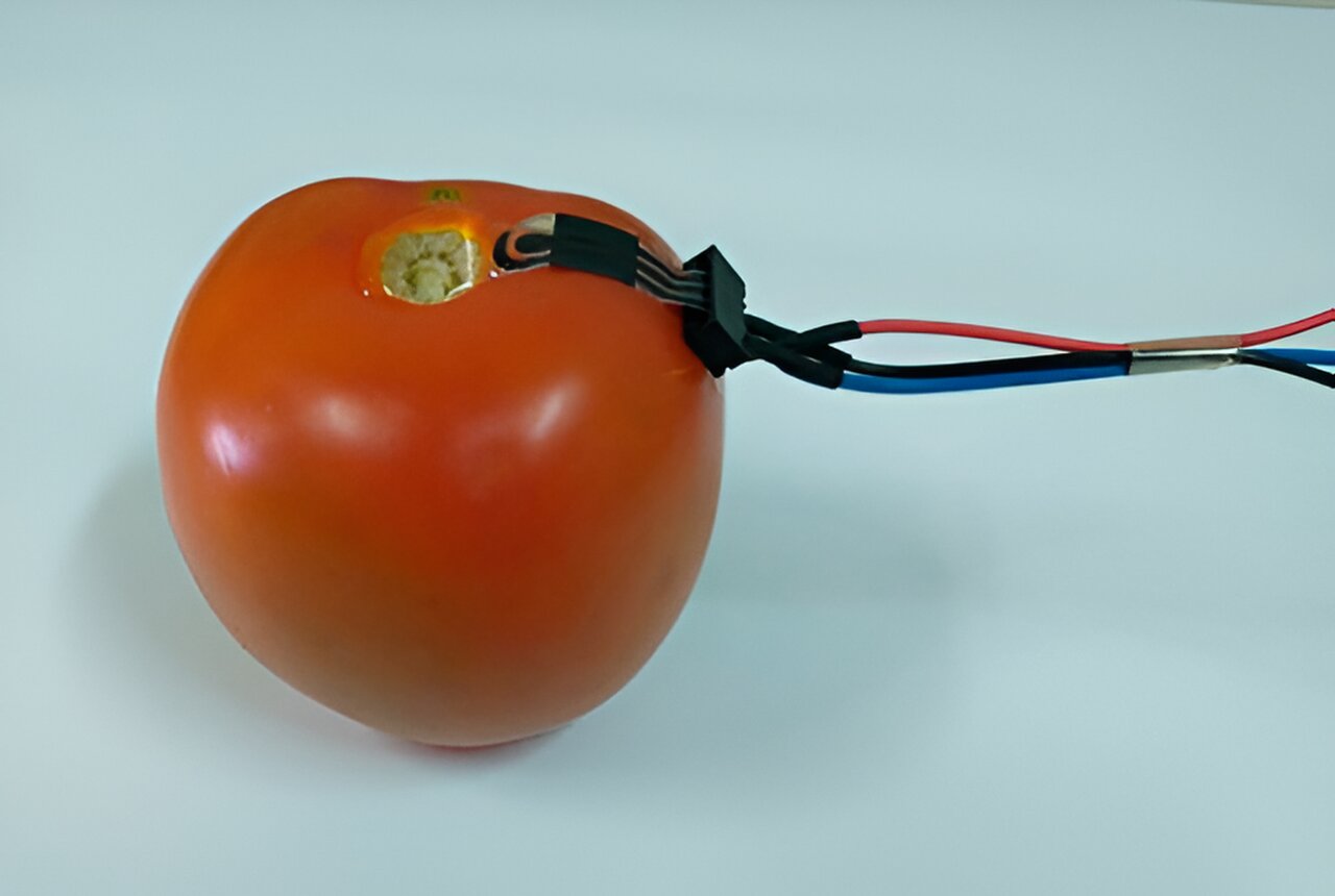 Scientists create biodegradable sensors for fruits