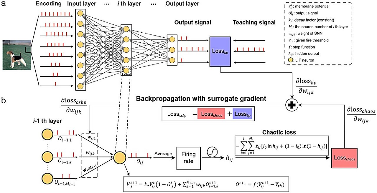 Brain-inspired chaotic spiking backpropagation
