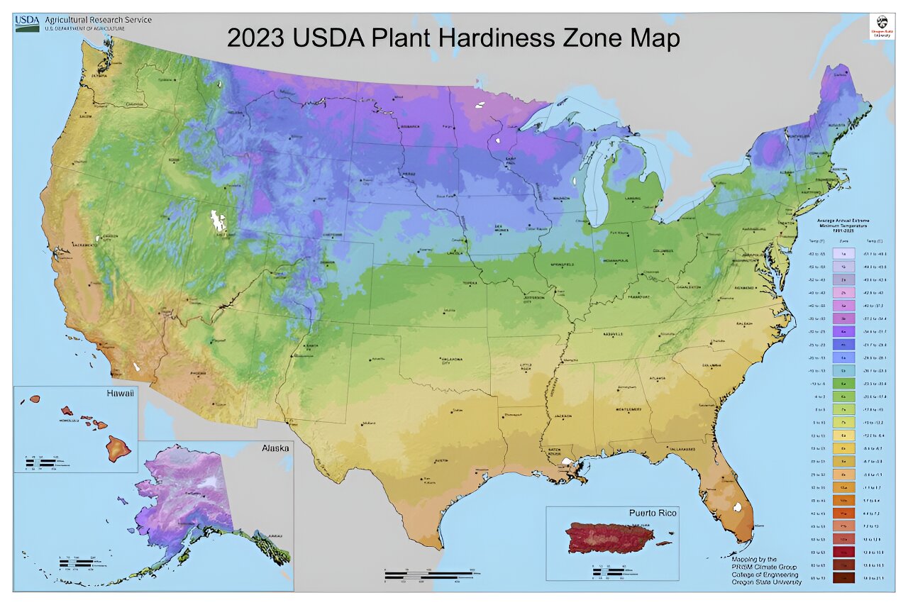 Climate change is shifting the zones where plants grow. Here's what that could mean for your garden