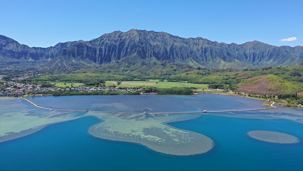 Could fish ponds help with Hawaiʻi's food sustainability?