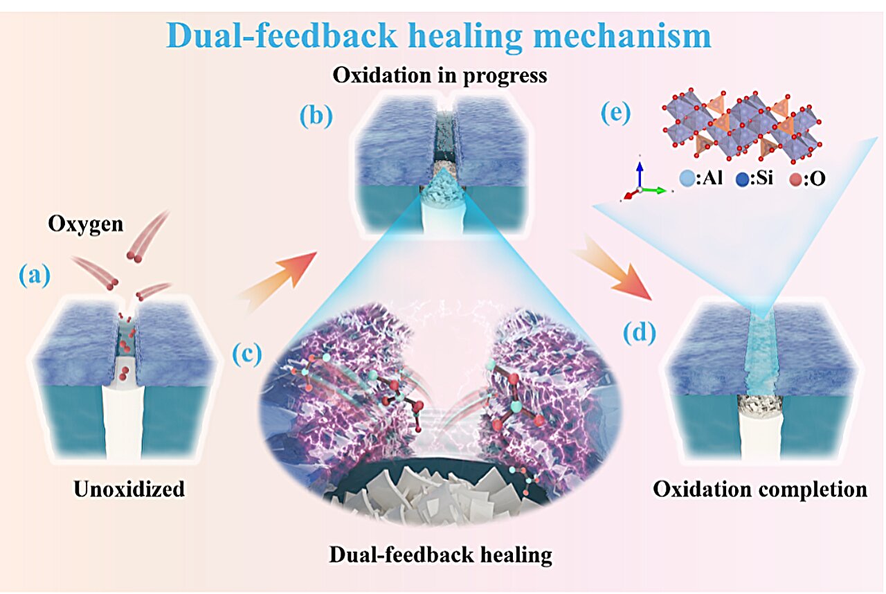 Dual-feedback mechanism can enhance anti-oxidation coatings in fiber composites