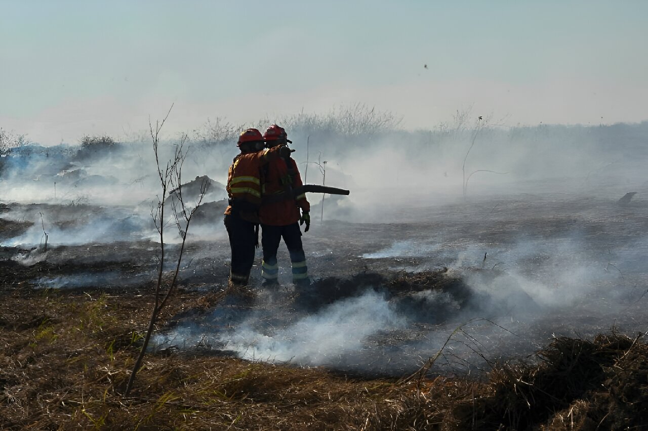 #’Out of control fires’ in Brazil wetlands spark state of emergency