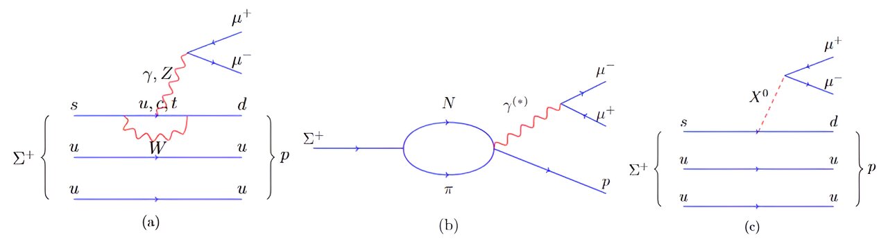 LHCb는 희귀한 Σ+→pμ+μ- 붕괴를 조사합니다.