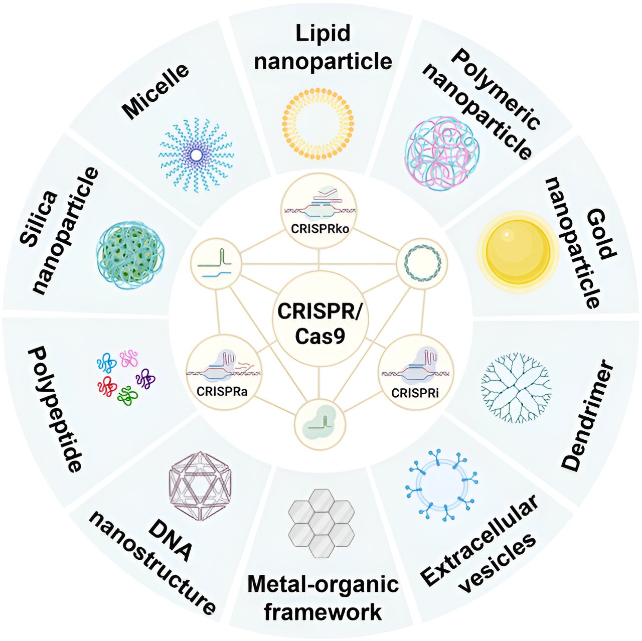 Oparty na nanotechnologii system dostarczania CRISPR/Cas9 do edycji genomu w terapii nowotworów
