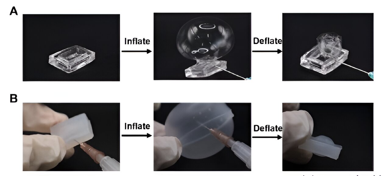 New hydrogel can stretch to 15 times its original size