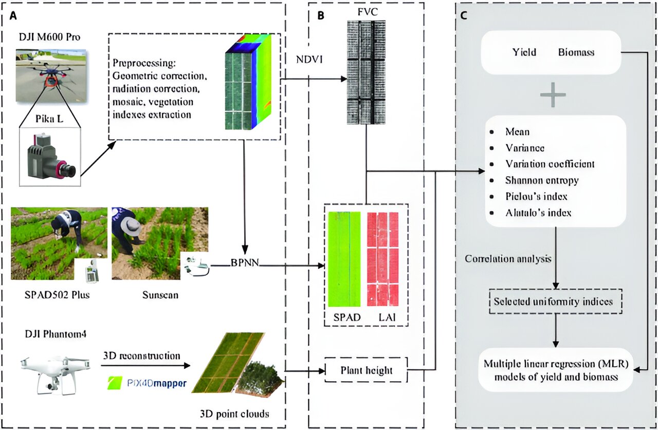 photo of New UAV-based method enhances wheat uniformity monitoring and yield prediction image