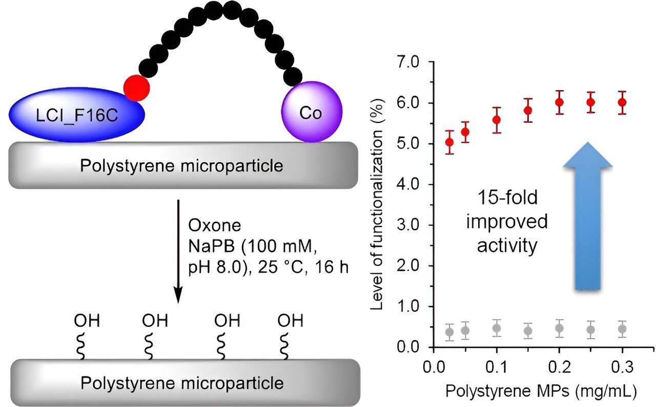 Plastic recycling: Peptide with a cobalt complex oxidizes polystyrene microparticles