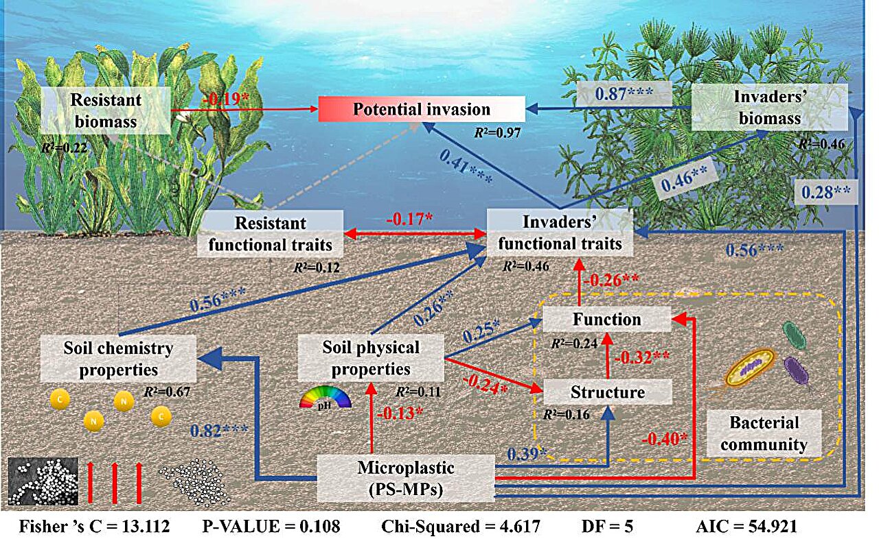 photo of Polystyrene microplastics shown to enhance invasion of exotic submerged macrophytes image