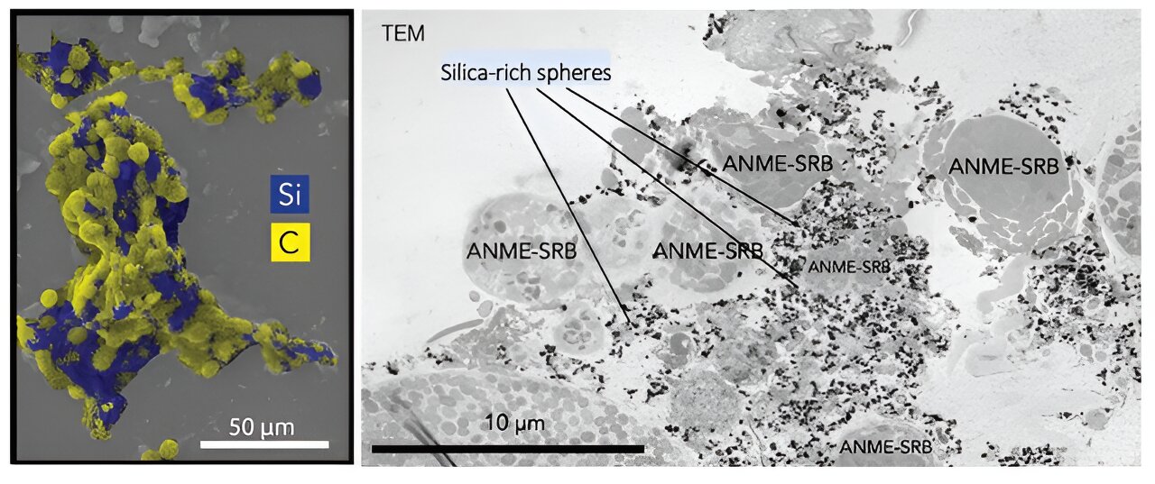 photo of Scientists confirm that methane-processing microbes produce a fossil record image