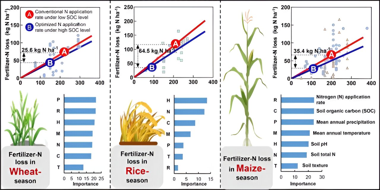 Study finds patterns of crop-specific fertilizer-nitrogen losses, opportunities for sustainable mitigation