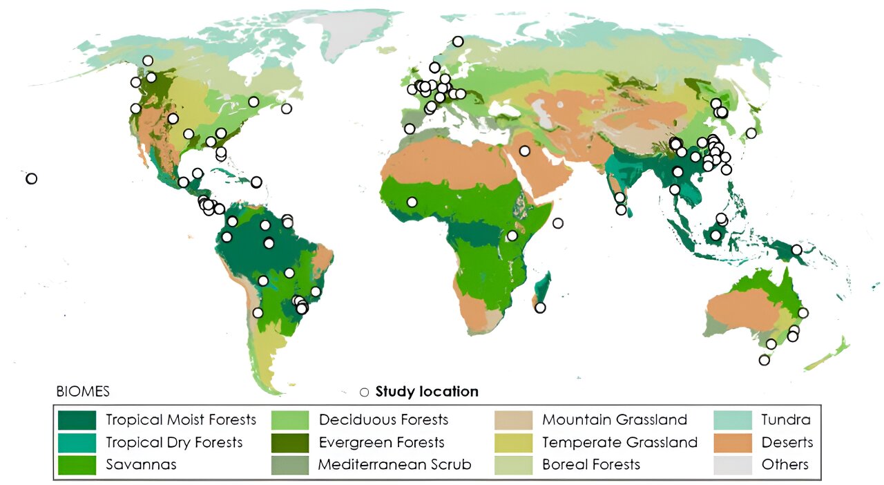 Study reveals crucial role of invertebrates as eco-custodians in global forest litter decomposition