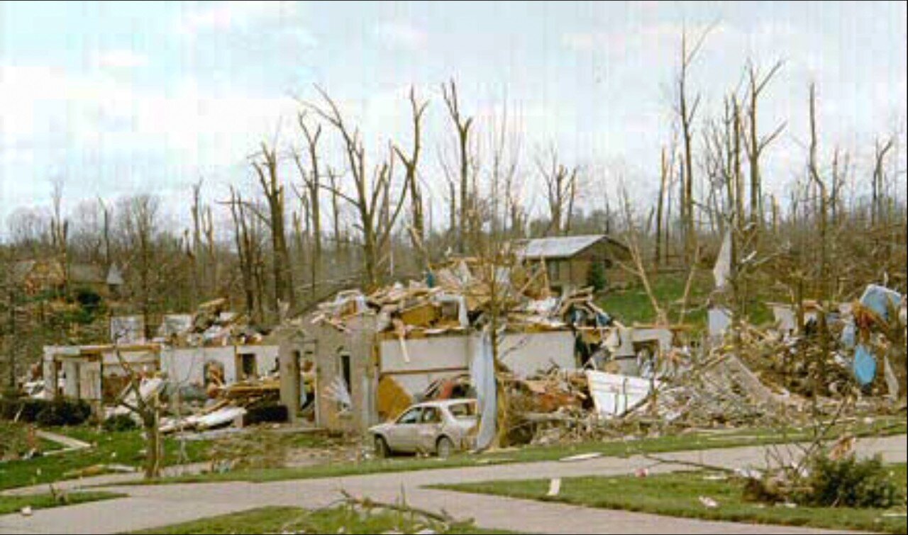 photo of Long-term forest study shows tornado's effects linger 25 years later image