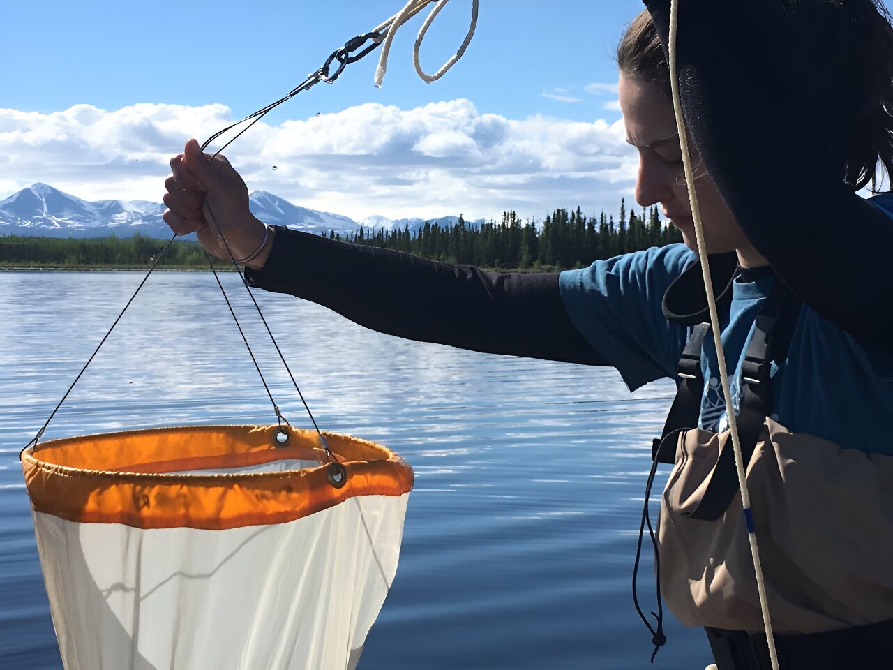 Understanding how human activity impacts zooplankton is essential for managing and protecting lakewater