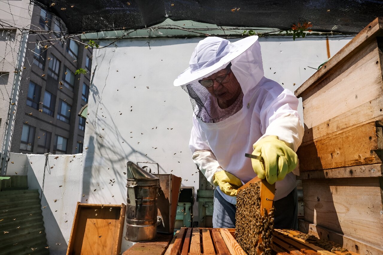 urban beekeeper sherry