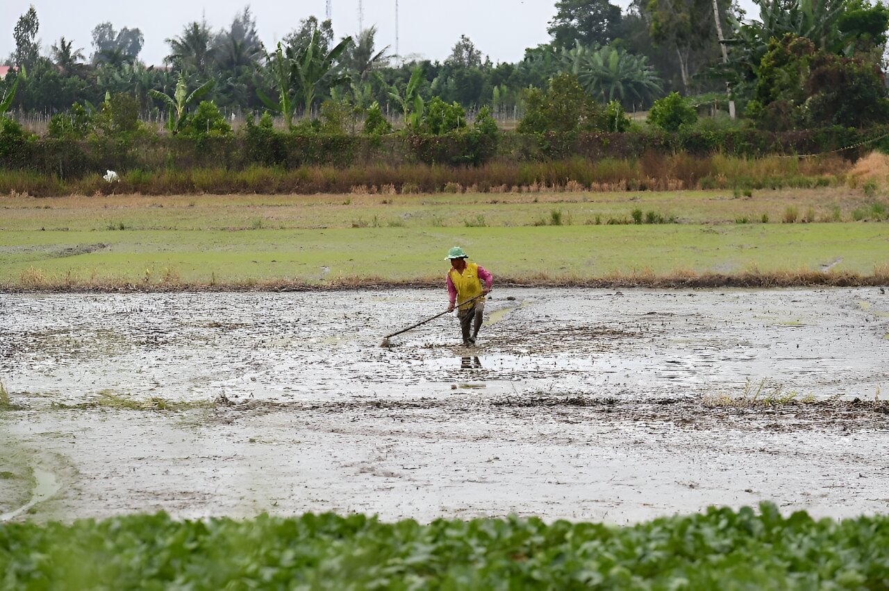 #Vietnam faces $3bn annual crop losses from rising saltwater levels