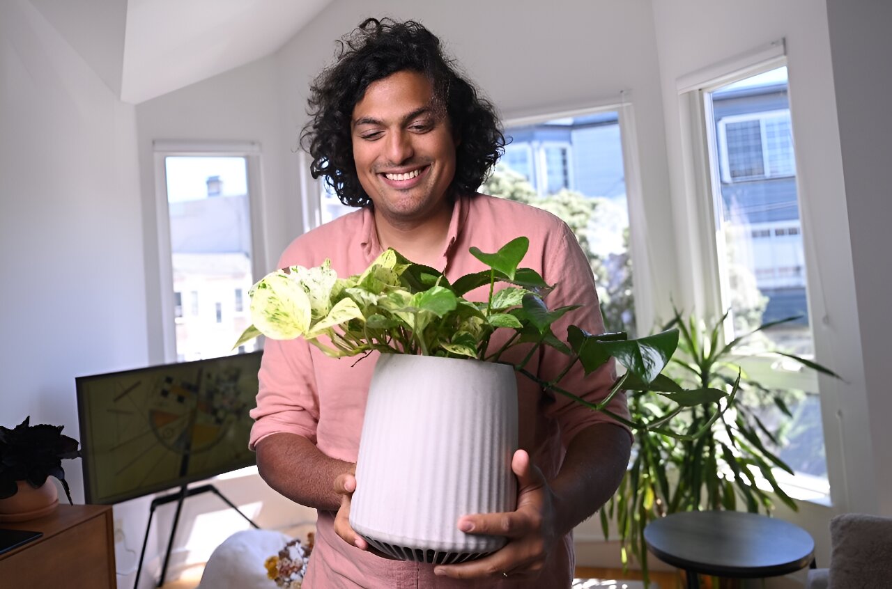 Meet Neo Px: the super plant that attacks air pollution
