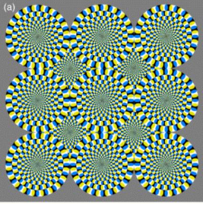 Not just your imagination: The brain perceives optical illusions as ...