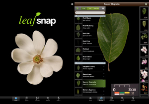 develops mobile app to identify plant species
