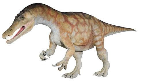 First Australian dinosaur global distribution