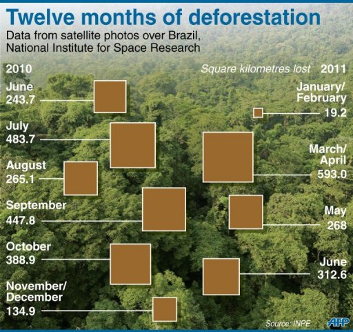 Deforestation in Brazil's  rises in March